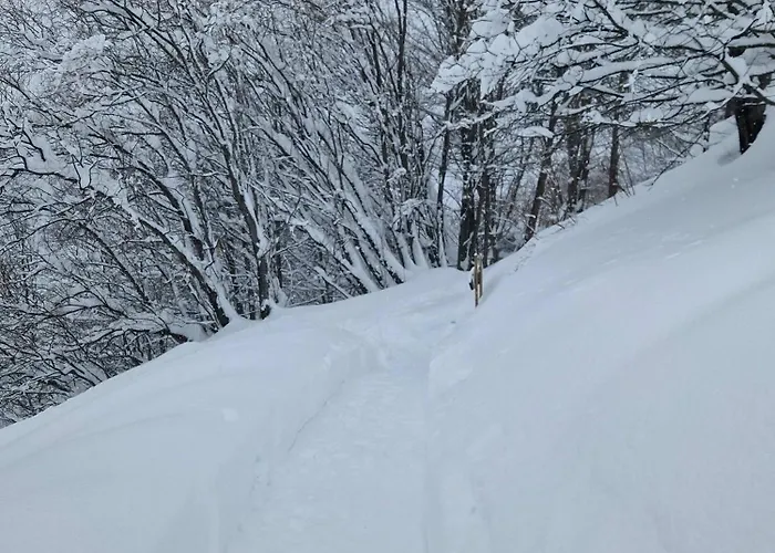 Les Chryolles -les Petits Loups Lodge *