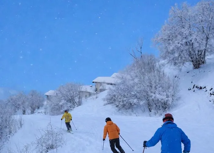 Lodge Les Chryolles -les Petits Loups